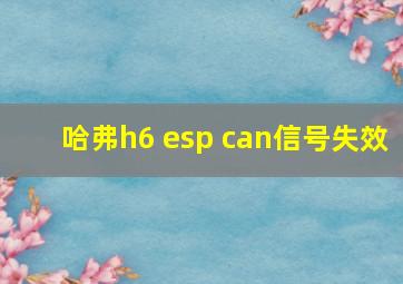 哈弗h6 esp can信号失效